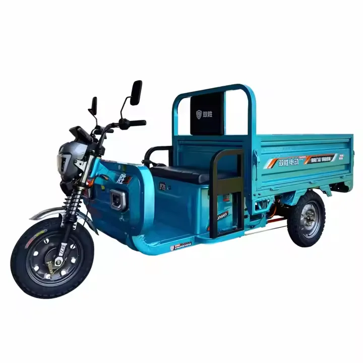 cargo tricycle motorcycle adult electric 1000W 60V Open Body Type transportation tricycle electric bike