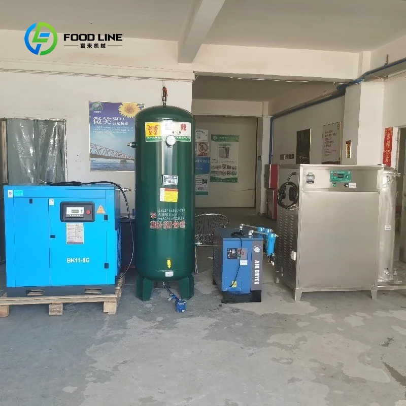 Customizable 800g/h Ozone Generator | Pump Motor & PLC Control for Silks & Satins Bleaching Textile Industry