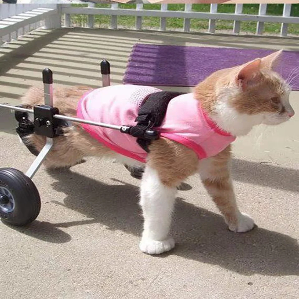 猫用歩行器の作り方（リハビリ用車椅子）ひとりで歩行練習が 猫用