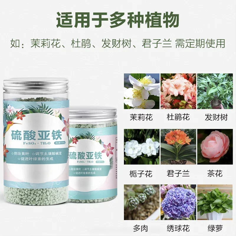 Ferrous sulfate flower fertilizer soil improvement acid rose rose camellia green laurel orchid yellow leaf fertilizer