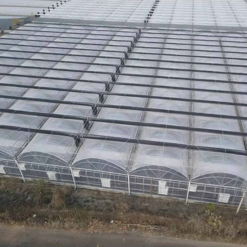 

Customized greenhouseMulti-Span Film Greenhouse with Hydroponic System for Vegetable Planting