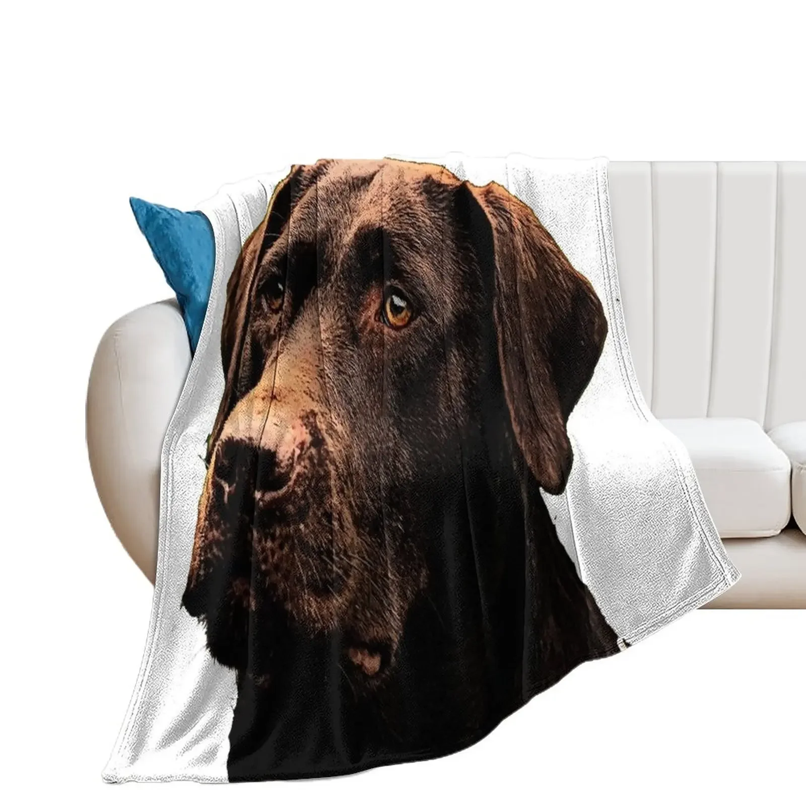 

Chocolate Lab Throw Blanket Custom Decorative Throw Blankets