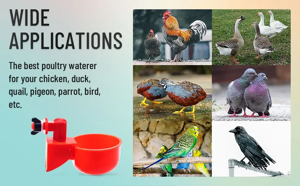 10/20/30pcs Chicken Waterer Tassen Chicken Feeder Cup für Chicken Duck Truthahn Kaninchen, 3/8 Zoll Faden Geflügel Bewässerungs futter – Detail 6