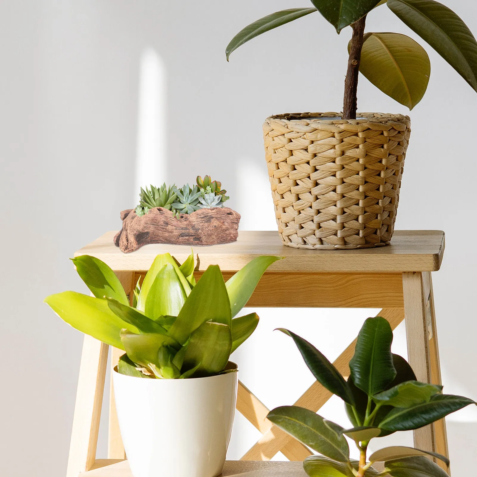maceta-de-imitacion-de-raiz-tallada-soporte-creativo-para-plantas-suculentas-macetero-de-escritorio-para-cactus-decoracion-para-el-hogar-y-la-oficina