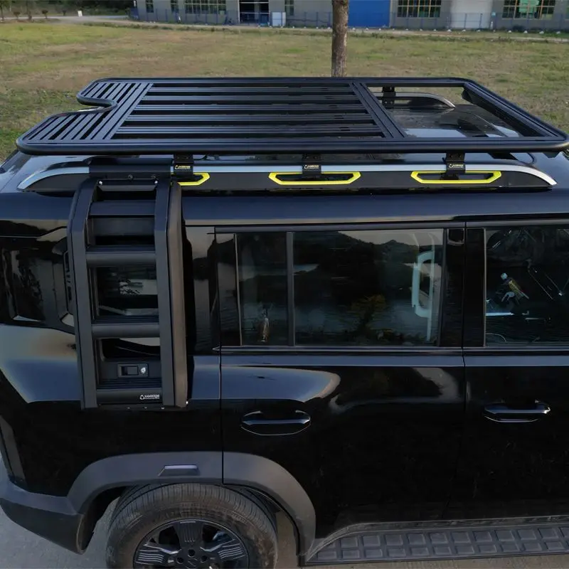 

Roof Rack Aluminum Alloy with Metal Carrier Box Roof Luggage Rack Fit for B4j Jietu Traveler