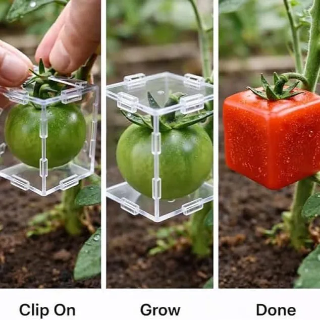 Mini Cube Triangle Fruit Shaping Mold Reusable Transparent Plastic Strawberry Tomato Growing Styling Tool Garden DIY