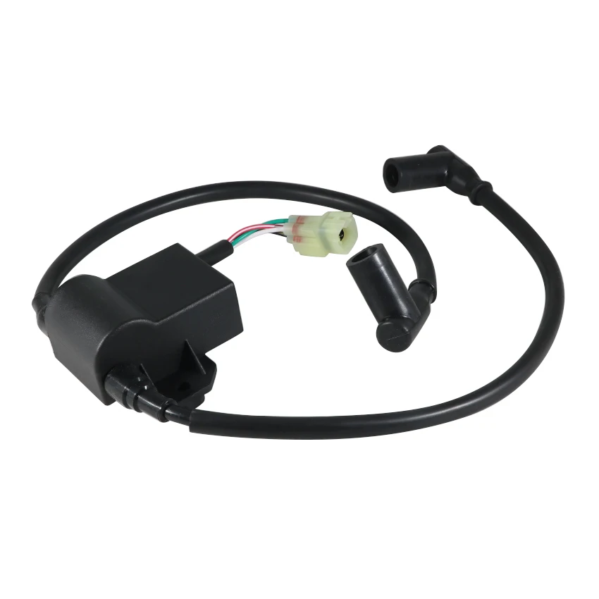 OEM: 420965757 Startmotor-Zündspule für Ski-Doo Formula S/SL Skandic 380/500/600 Touring SLE/E LT Motorradzubehör – Detail 1