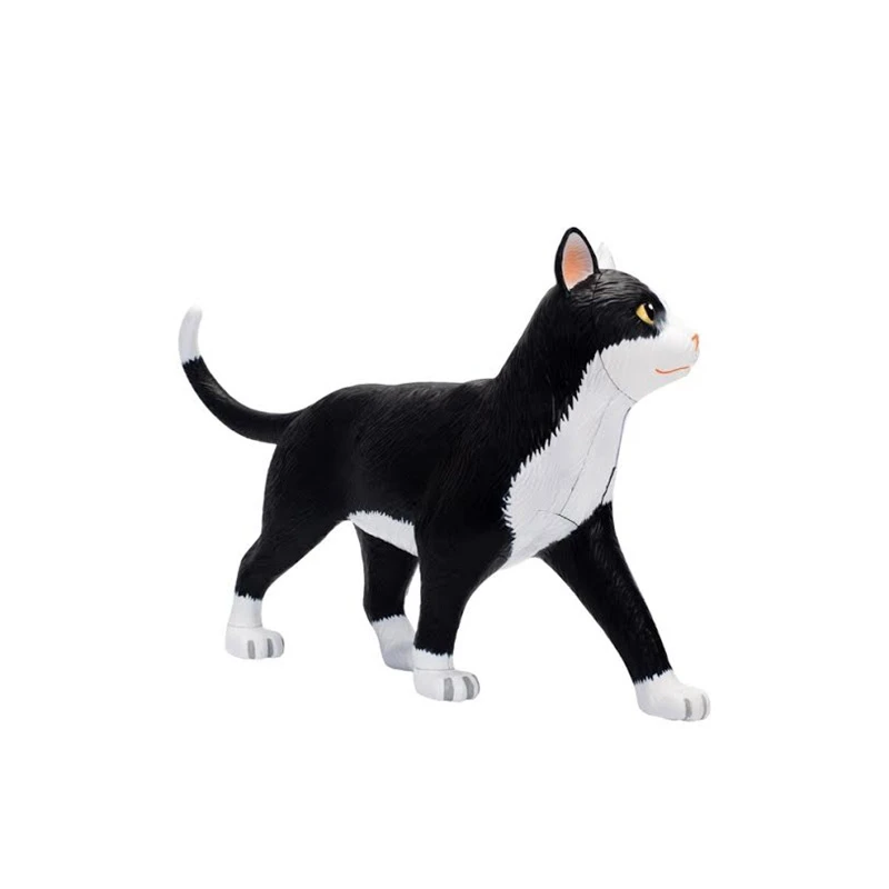 Imagem -02 - Órgão Animal Anatomia Modelo 4d Gato Inteligência Montagem Brinquedo Ensino Anatomia Modelo Faça Você Mesmo Popular Ciência Aparelhos