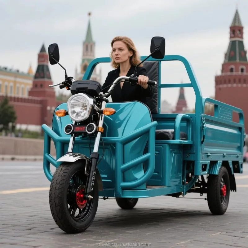 Urban Logistics Small Goods Electric Cargo Tricycle, Single Cab Open 3 Wheel Electric Freight Trike, Market Delivery Transport