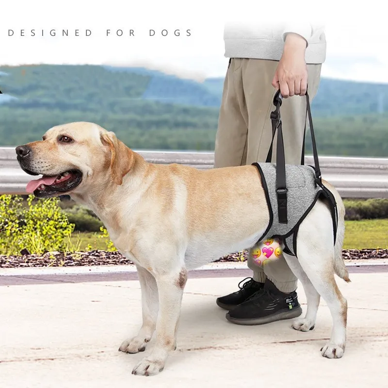 

Dog Harness Support Brace For Leg Injury Protector Pet Lift Harness Reduce Pressure Walking For Elderly Disabled Dogs