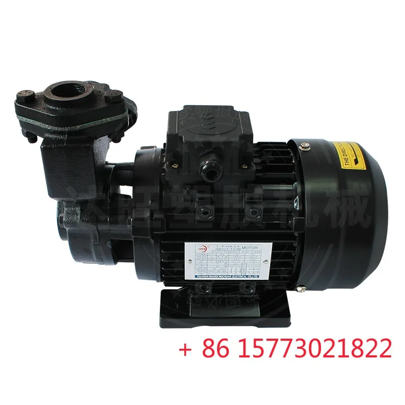 Kinokawa oil pump TS-71/63 hot oil 200 degree circulation pump high temperature resistant TS-80 rhinestone booster mold  pump