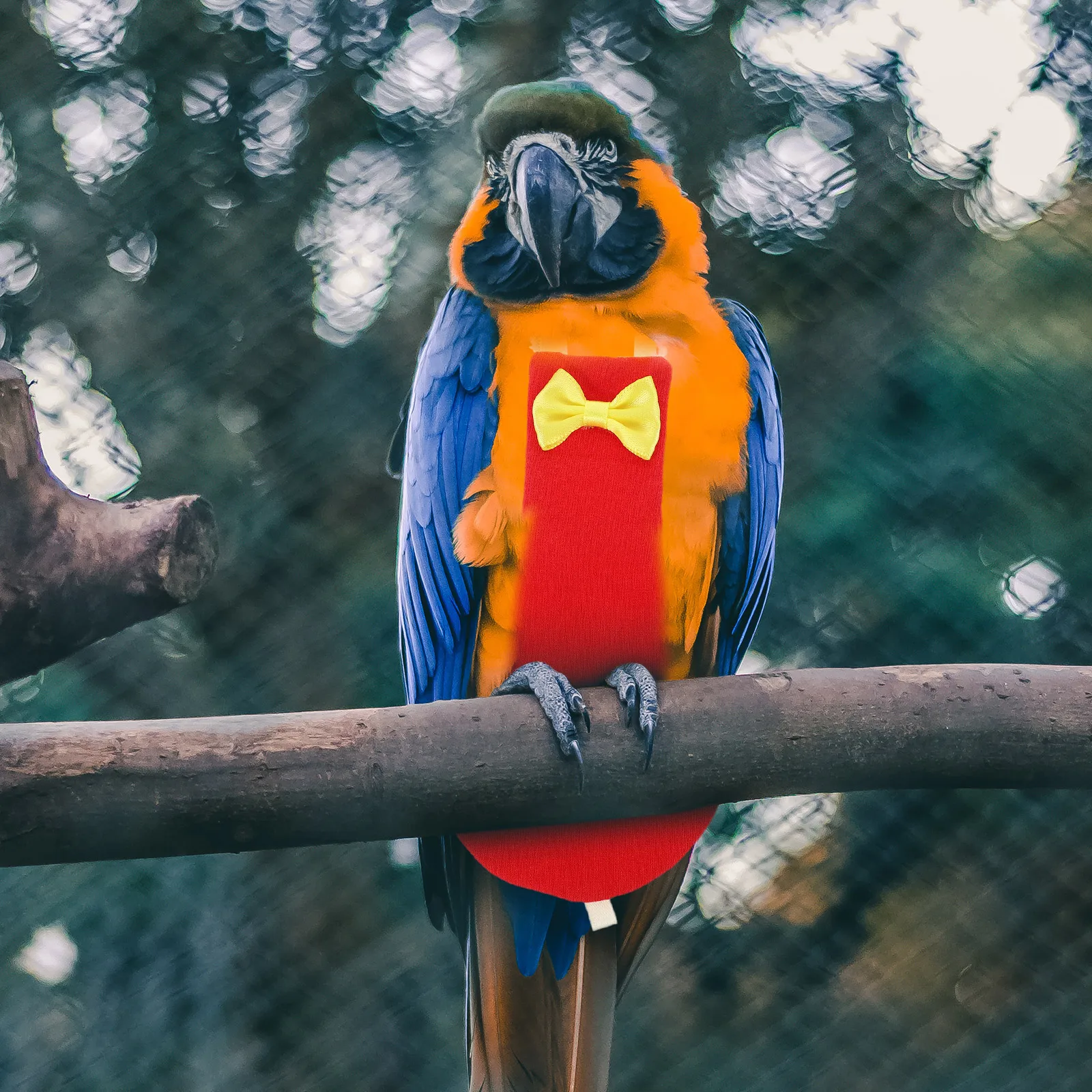 

Bird Diaper Flight Parrot Liner Reusable Protective Premium Cotton Soft Comfortable Bow Decorated Parakeet Pigeon Cockatiel