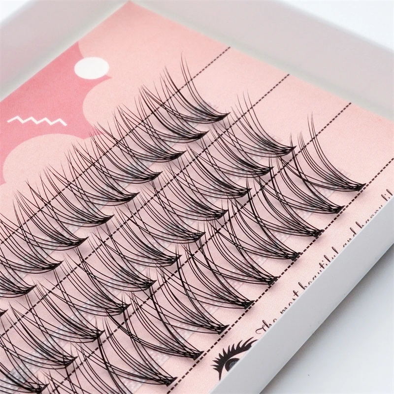 10D Eyelash cluster 1 Box/60 Bunches Mink Eyelashes Natural 3D Russian Individual Eyelash extension Makeup Tool Lashes Wholesale