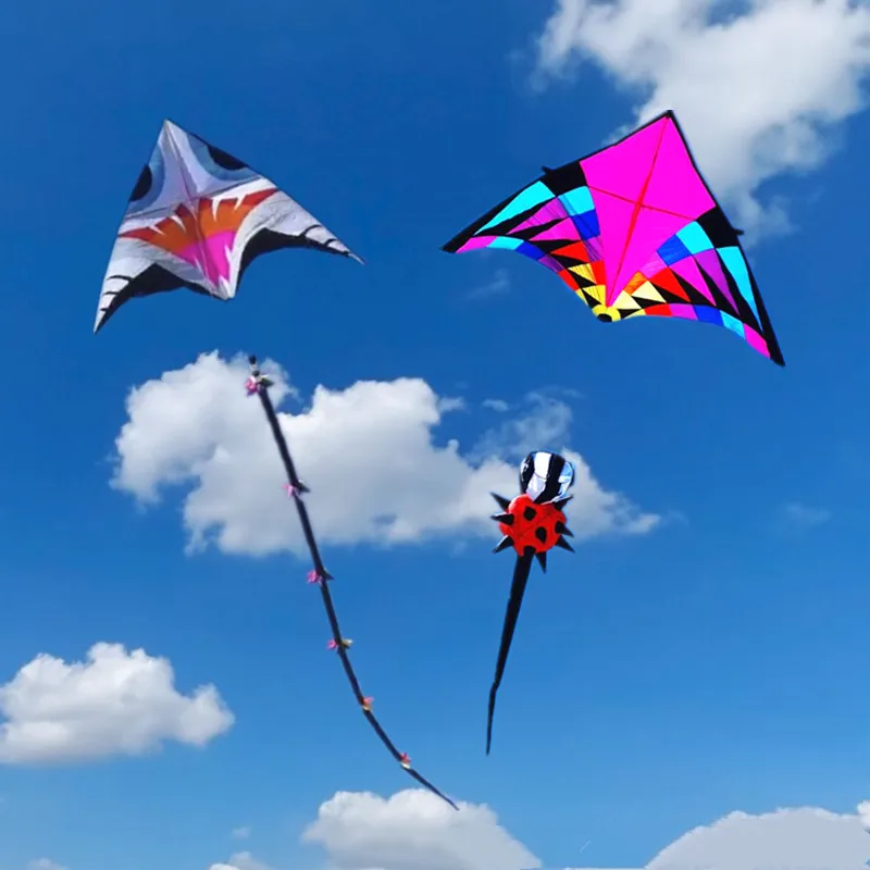 

Giant kites tails 3d kites parachute kites for adults professional wind kites kites for kids dragon fly windrad kite laundry fun