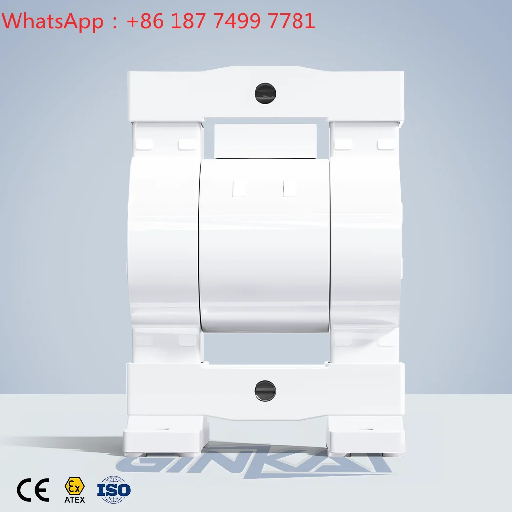 1/2 Inch Full PTFE Air Operated Double Diaphragm Pump Laboratory Hazardous Chemical Safe Transfer Pump