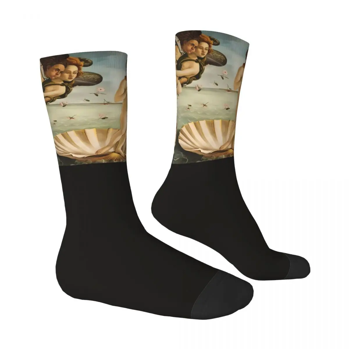 The Birth Of Venus Stockings Art Van Gogh Mural Printed Gothic Socks Autumn Bacterial Socks Women Men Skateboard Quality Socks