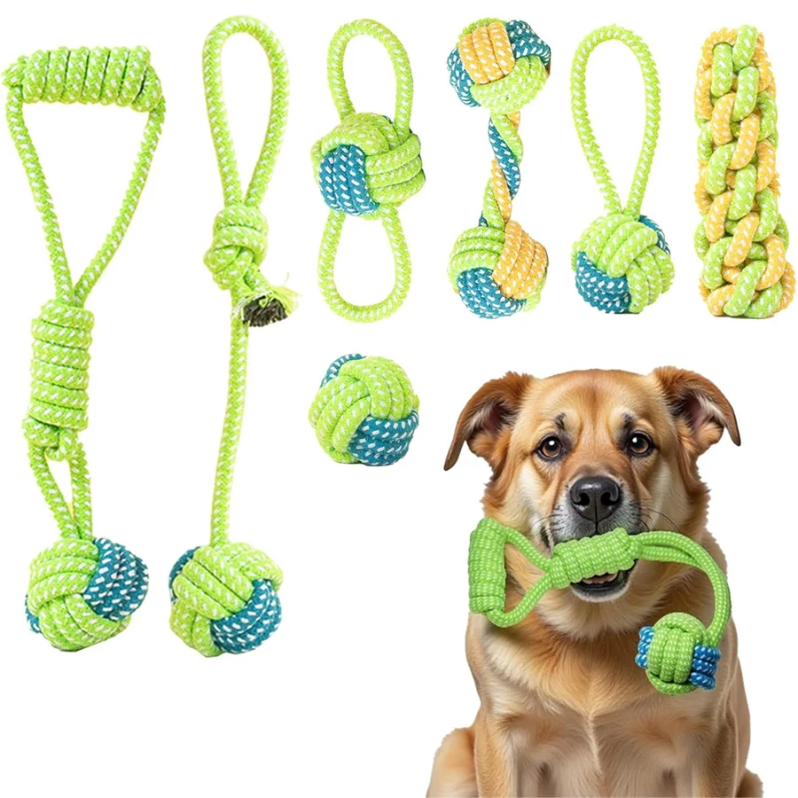 #44 Dog Fetch Toys List of Top Picks