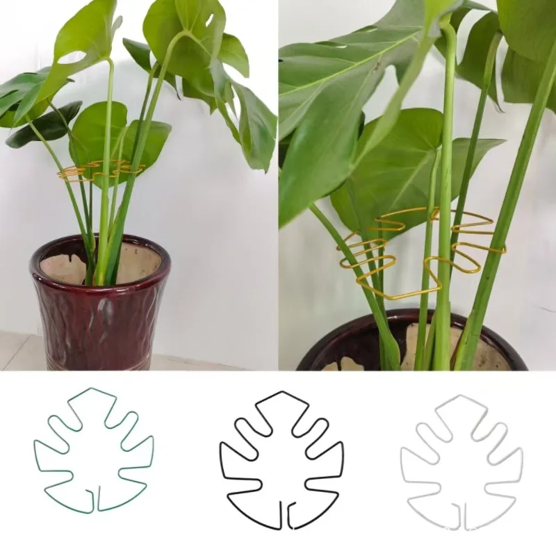 Large hanging plant stand iron hooks suitable for flowerpot decoration Plant Stem Support Holder Clamp indoor and outdoor use