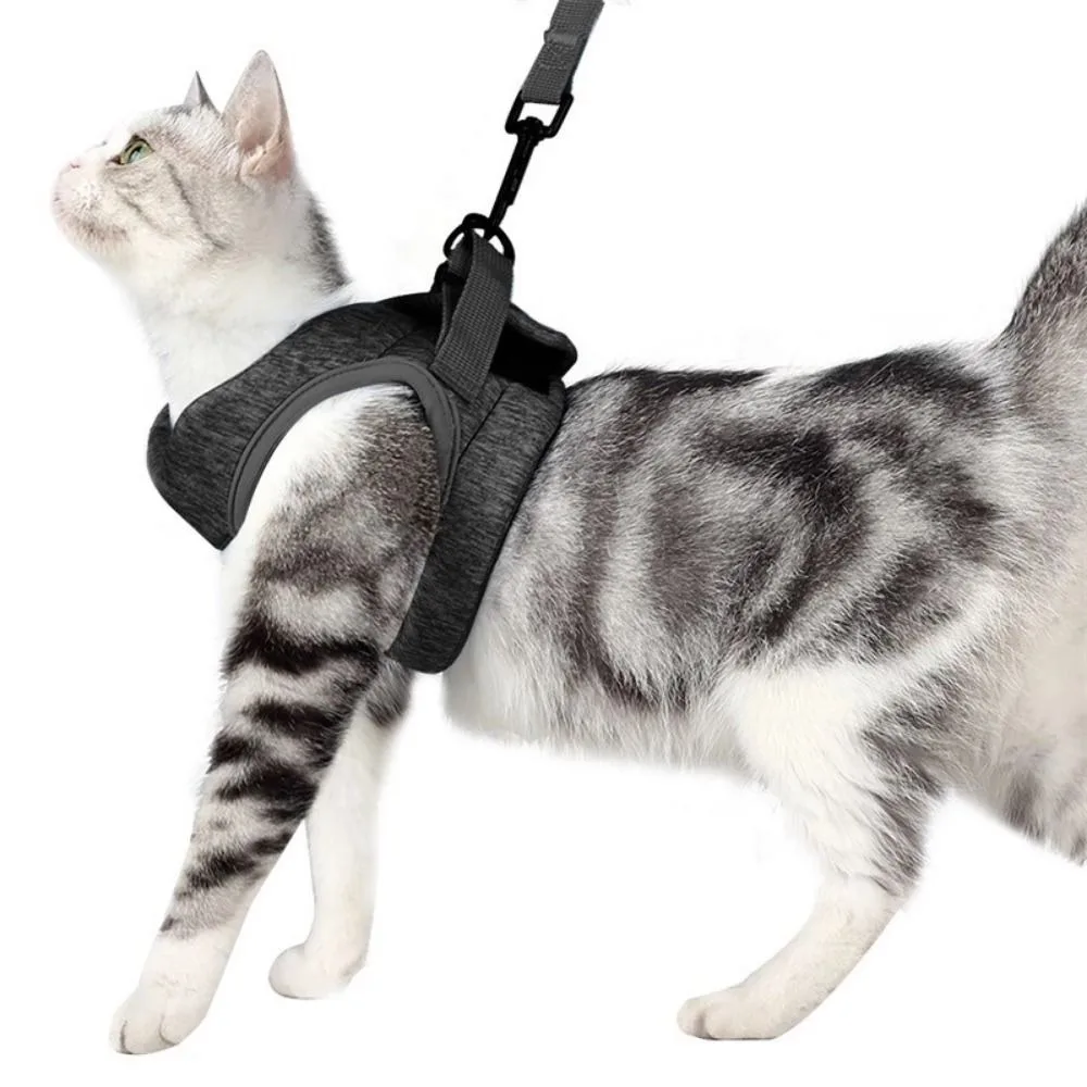 

Polyester Pet Harness Leash Set Soft Breathable Cat Escape Proof Collar Strap Adjustable Lightweight Cat Chest Strap Training