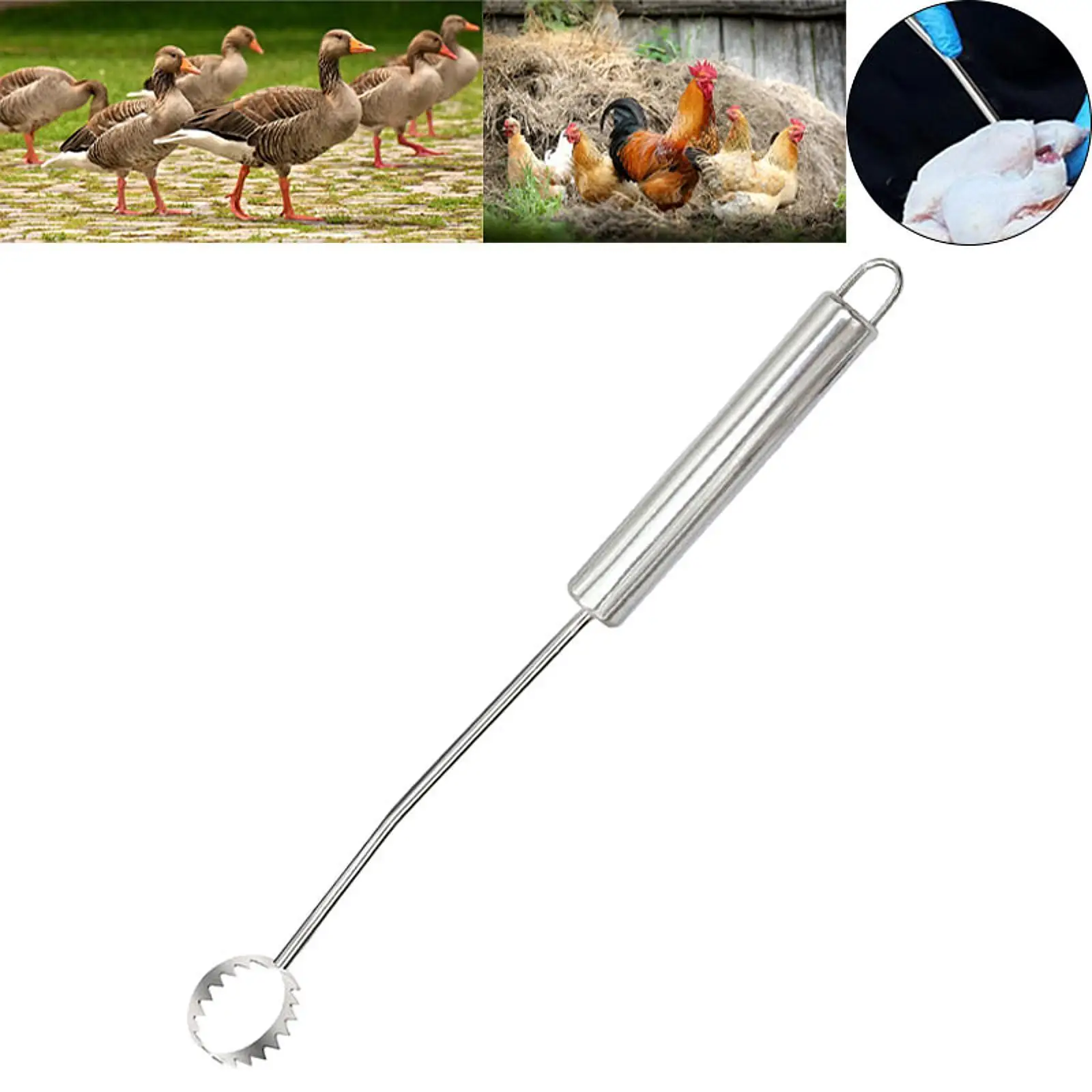 Efficient Lung Gutting Tool for Turkey Portable Multifunctional Turkey Tool