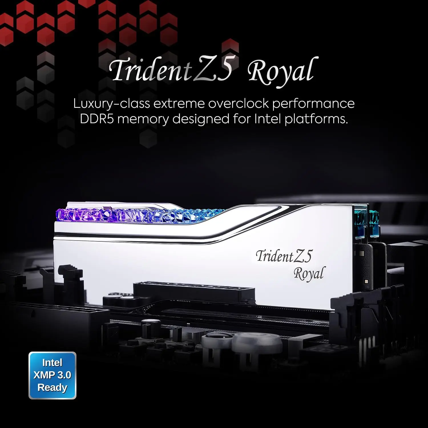 G.SKILL Trident Z5 Royal Series (Intel XMP 3.0) DDR5 RGB RAM 32GB 
