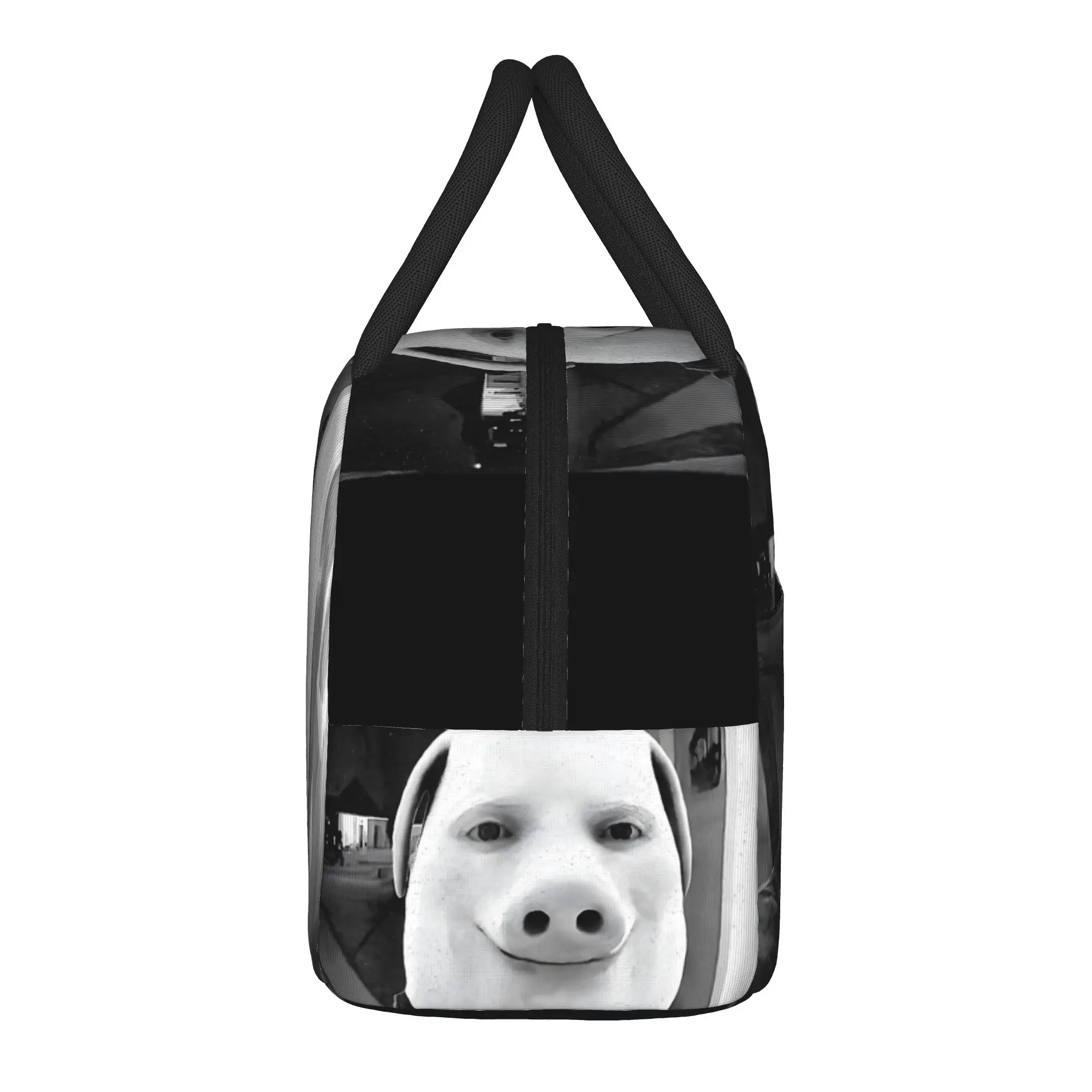 John Pork Motion at Your Front Door Doorbell Meme with Money Lunch Bag For Child  Print Lunch Box Retro Travel Cooler Bag