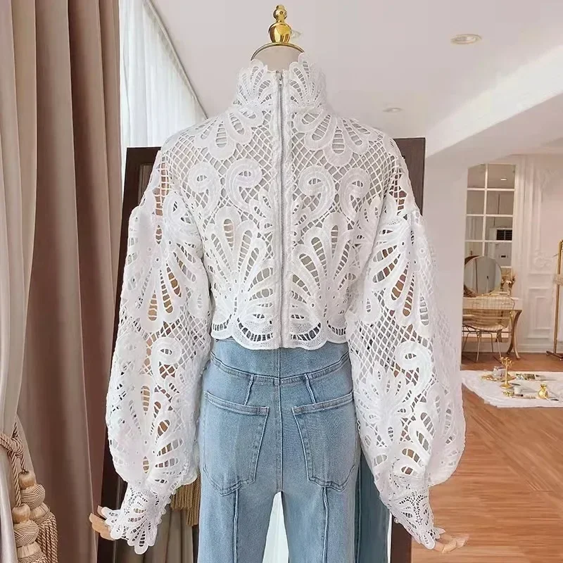 Elegant Hollow Out Long Sleeve Lace Blouse for Women, Stylish Stand Crochet, Cotton White Shirts, Sexy Crop Tops, 16296, New