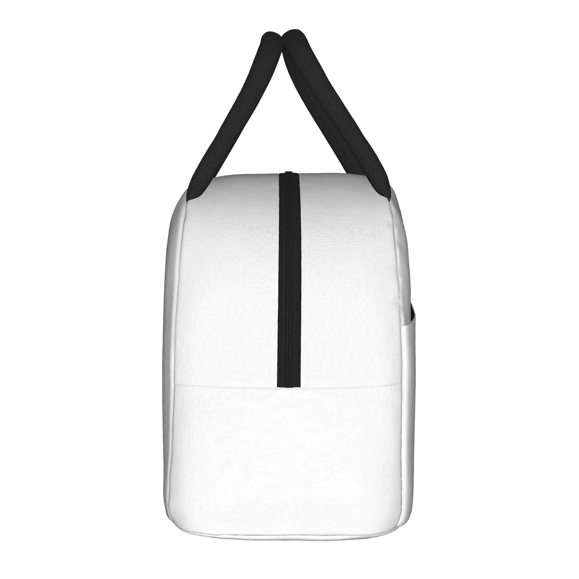Kawaii Bugcat Capoo   Insulated Lunch Bags Leakproof  Lunch Container Thermal Bag Tote Lunch Box Outdoor Food Storage Bags