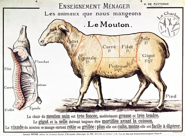 French School (20th century) Mutton: diagram depicting the different cuts of meat Prints Poster Wall Art For Home Decor