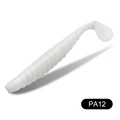 PA12