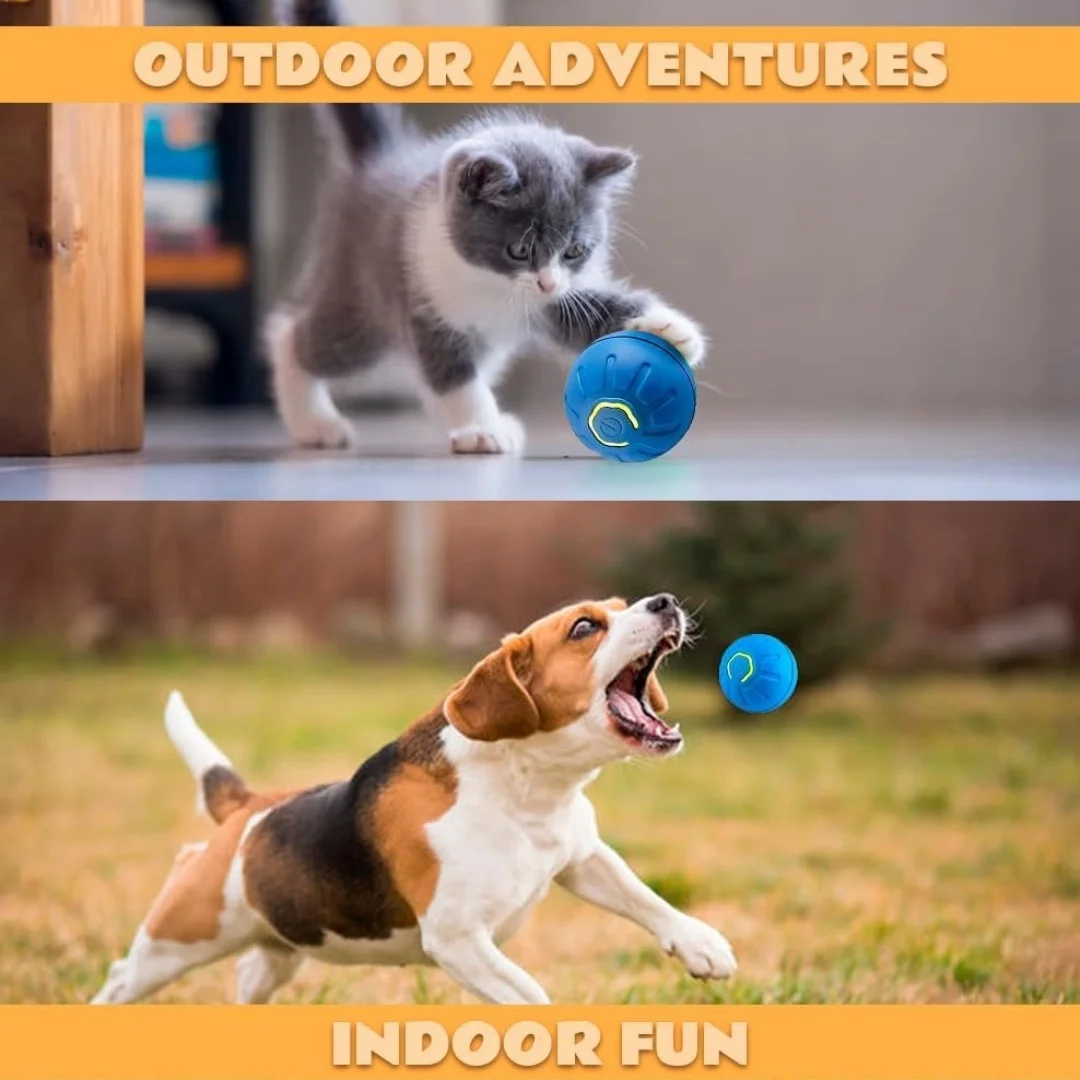 Bouncing Ball for Dogs - Fun Interactive Toy, USB Rechargeable, Durable Design, Water-Resistant for All Play Environments image 4