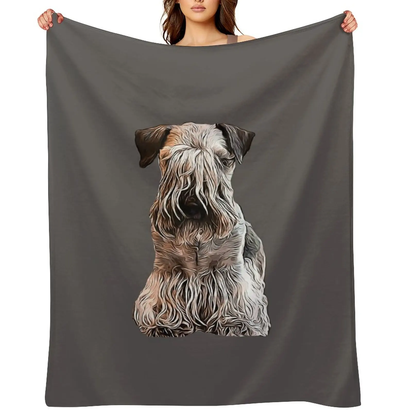 

Cesky Terrier Throw Blanket Giant Sofa wednesday Thins Sofa Quilt Blankets