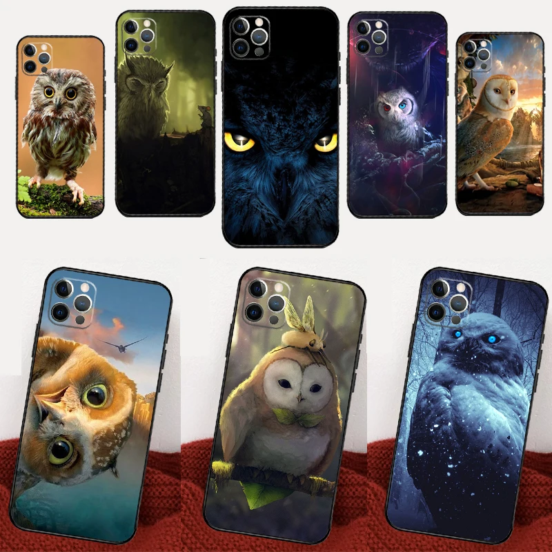 Animal Owl For Hono… - image