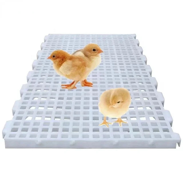 Easy Cleaning Poultry Flooring Plastic Chicken Floor Mesh Slatted Floor for Broiler Chicken Coop