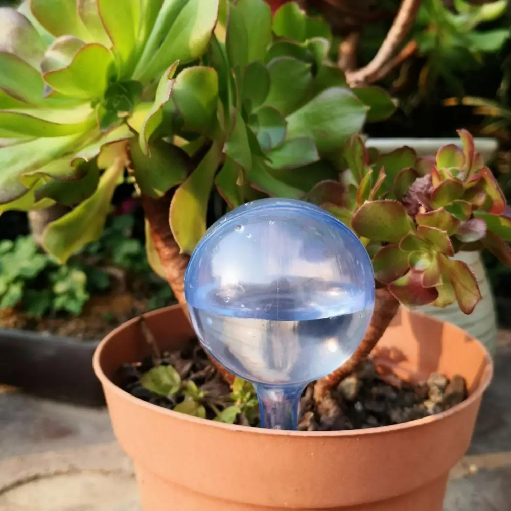 Glass Ball Watering Device Garden Automatic Irrigation Watering Bottles Plant Flower Watering Dripper Irrigation Watering System