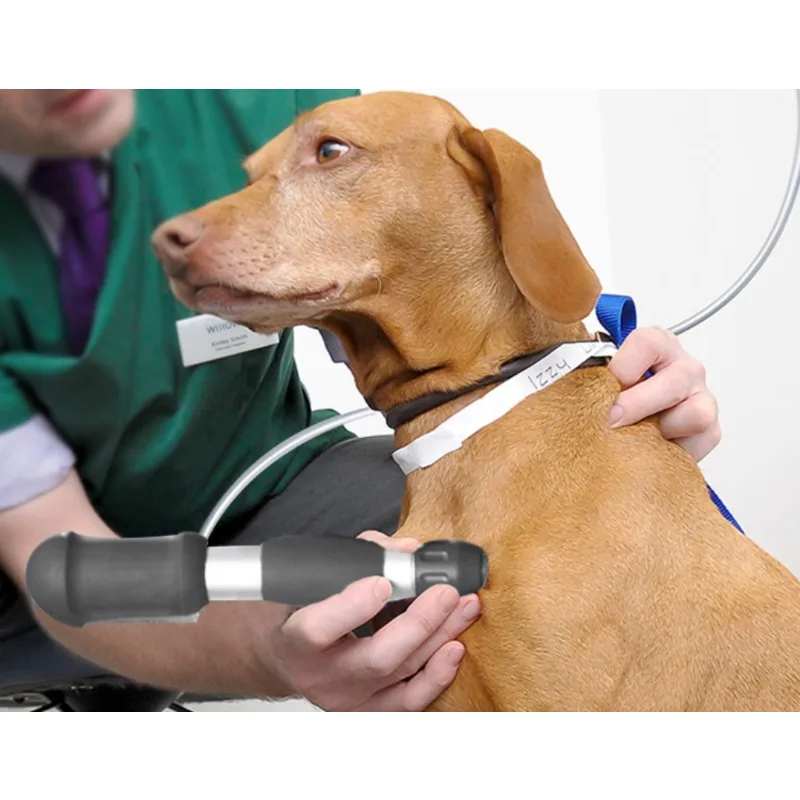 Veterinary  equipment Chiropractic & Animal ESWT Shockwave Treatment Acoustic Wave Massager Shockwave for Animal Machine