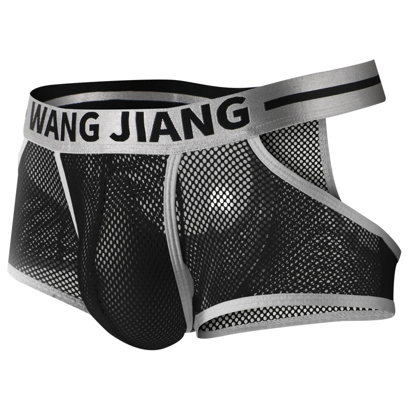 Boxer Mens Underwear Sexy Men Mesh Hole Male Boxers Short Underpants Plus Size U Convex Pouch Transparent Panties