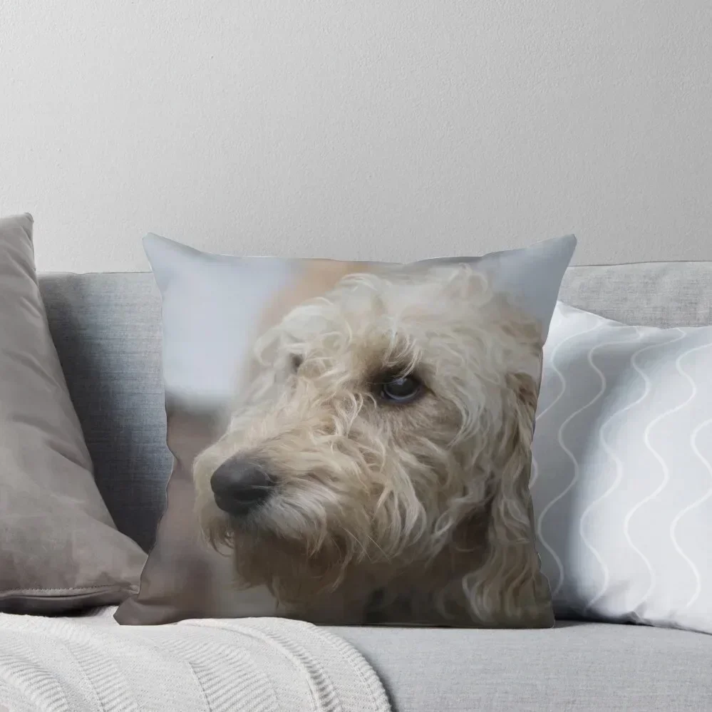 

Goldendoodle Puppy Throw Pillow Cushions Cover Plaid Sofa sleeping pillows pillow