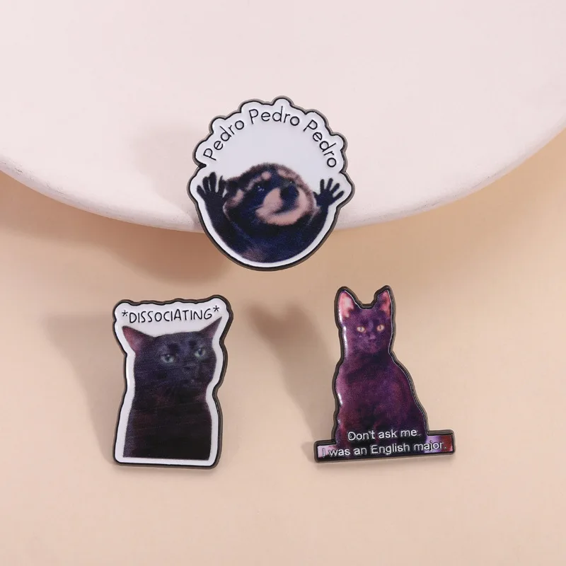 Humorous Raccoon Cat English Sentences Metal Badges Spilla Brooches Pins Clothing Personalized Diy Trendy Decorative Accessories
