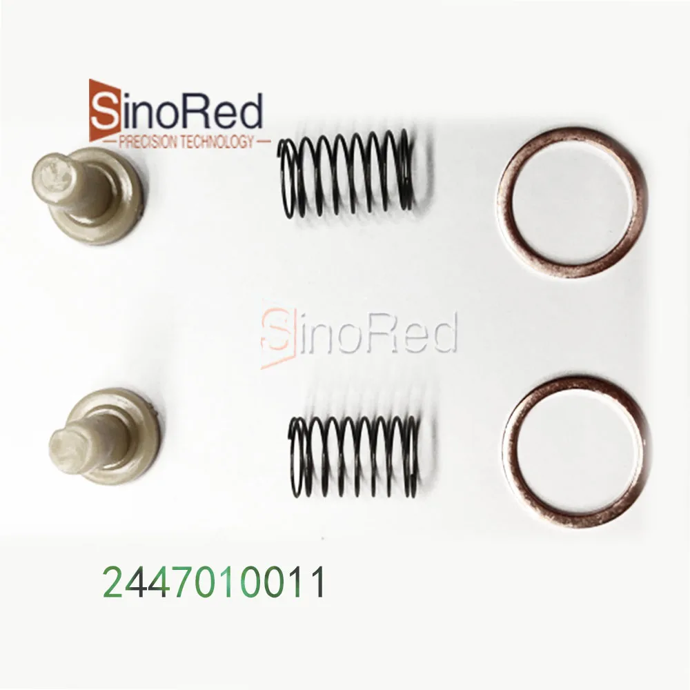 

High Quality 100 PCS Fuel Pump Repair 2447010011