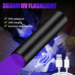 Mini linterna UV recargable por USB, luz negra, escorpión, lámpara ultravioleta, Detector de manchas de orina de mascotas, 365nm/395nm