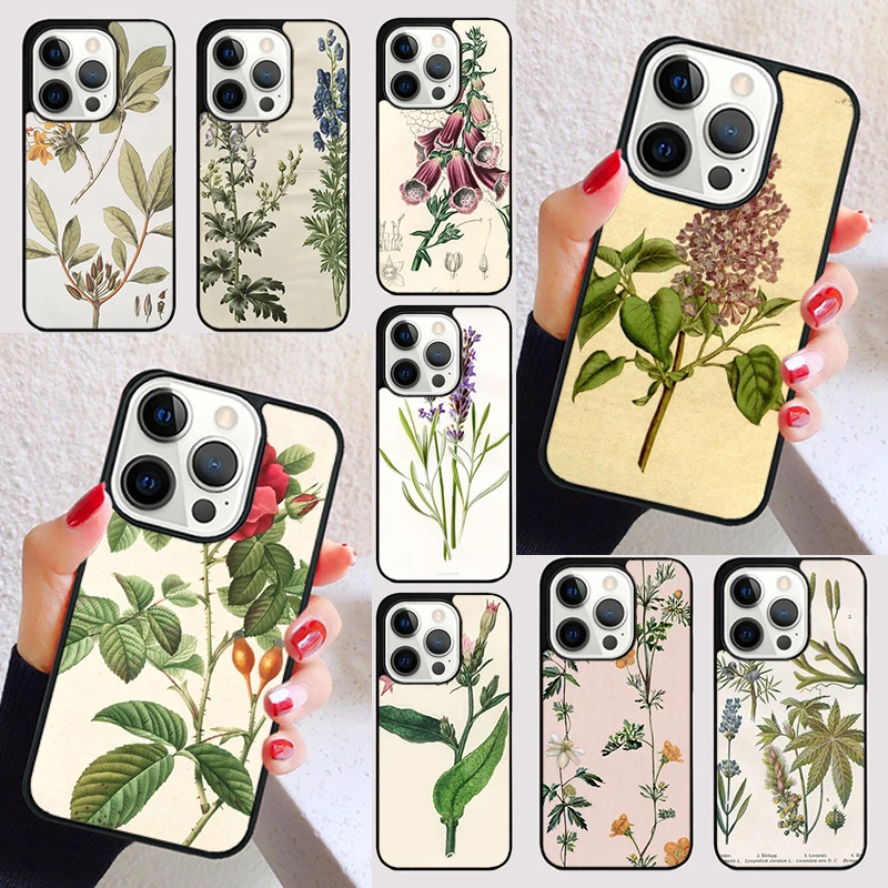 Botanical Drawings Flowers Plants cover For iPhone 15 16 13 12 11 14 Pro Max Mini Max SE 2020 7 8 6S Plus Phone Case