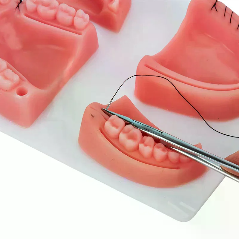 Dental Gum Skin Suture Surgical Practice Medical Skin Suture Pad Lab Model Silicone Periodontitis Suture Model Training Kit
