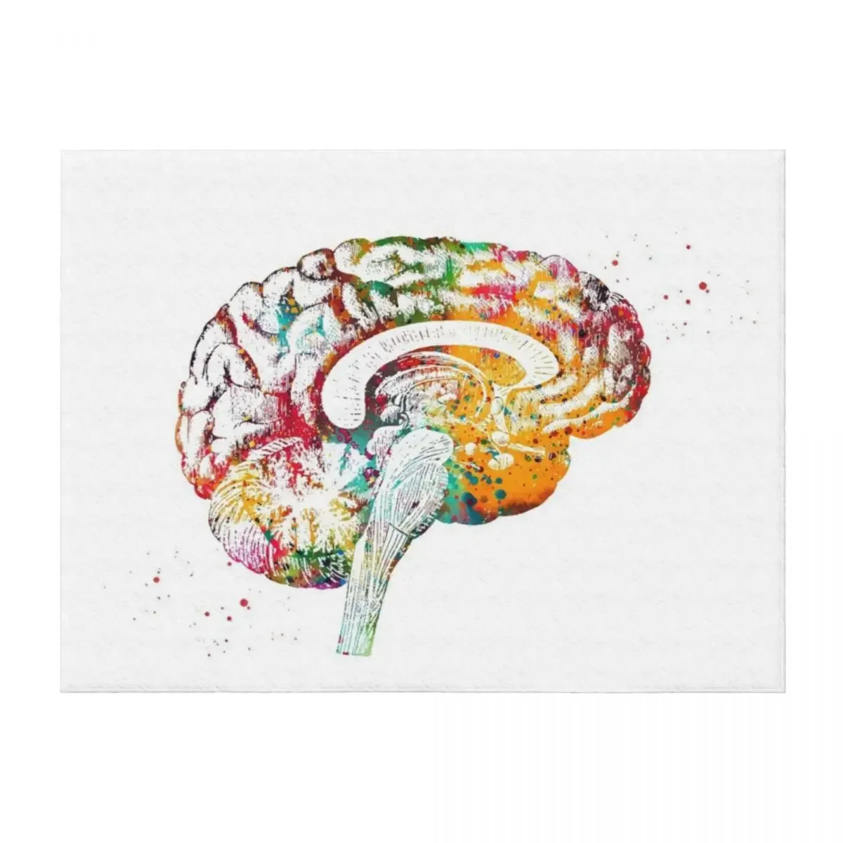 

Brain anatomy cross section Throw Blanket Decorative Throw Summer blankets ands Soft Plaid Blankets