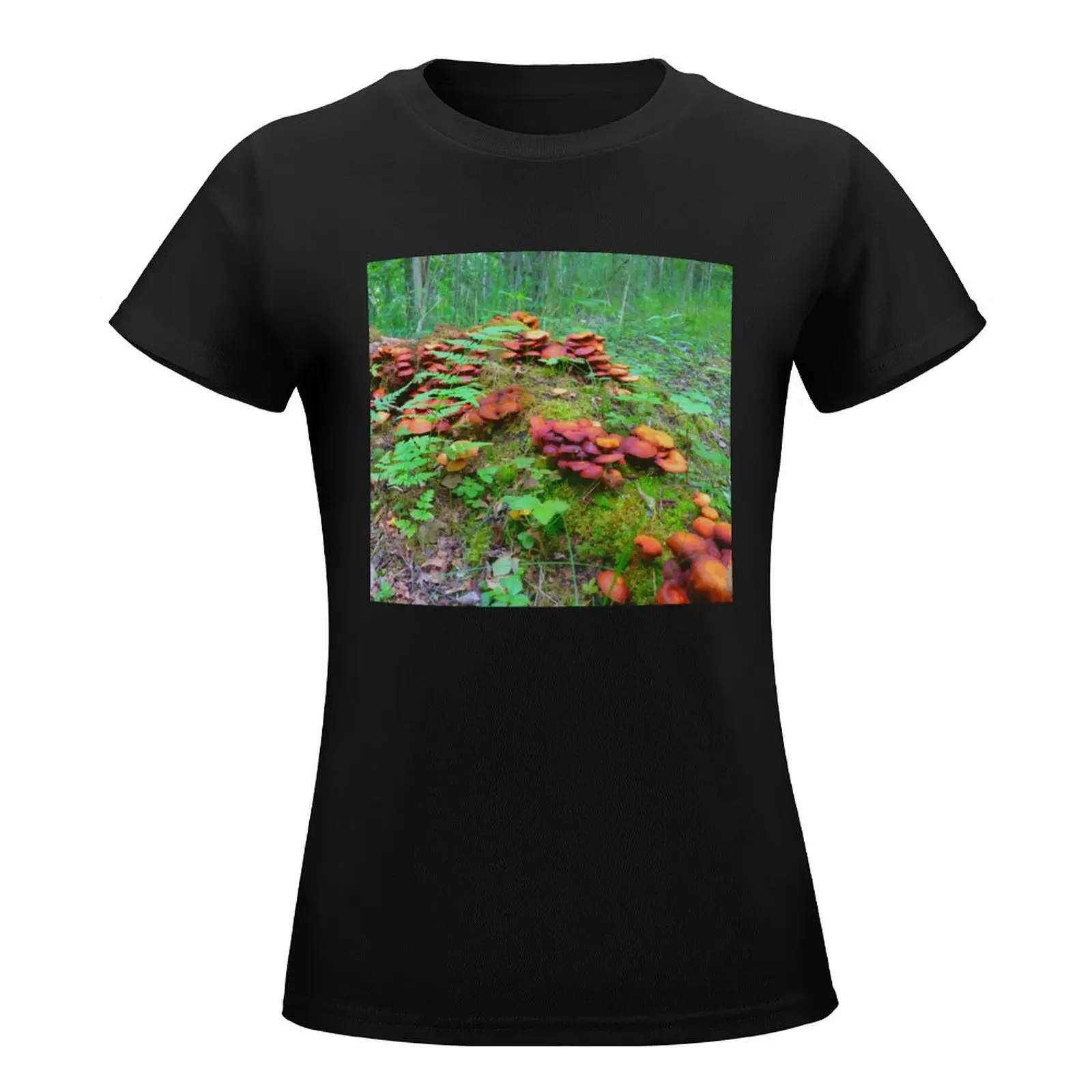 Swedish Mushrooms | Nature | Varmland | Sweden T-Shirt funnys funny summer clothes t shirt dress Women