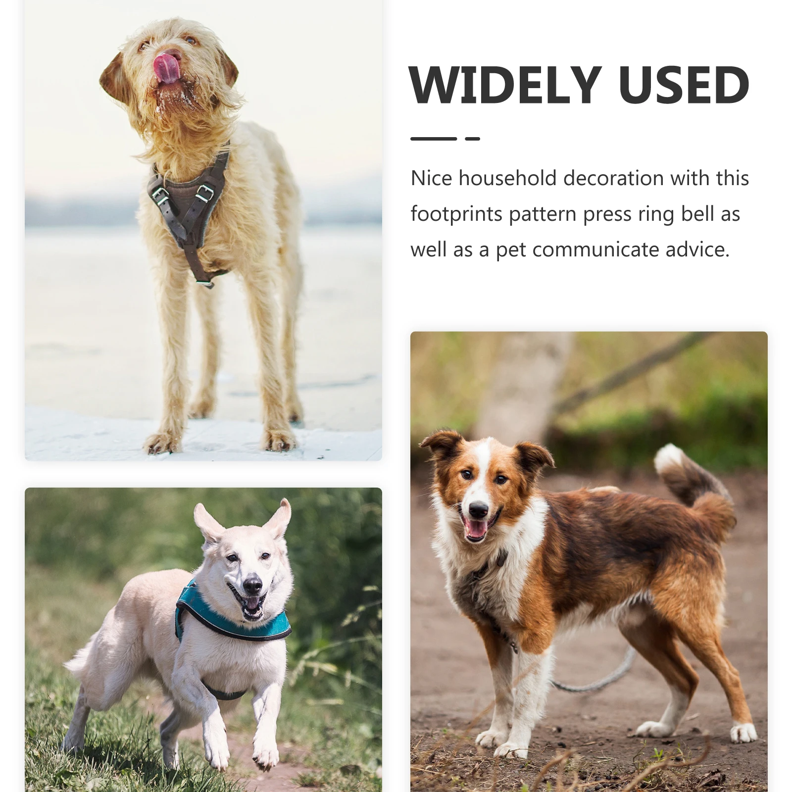 

3 pcs Doggy Doorbell Flat Wide Button Footprint Pattern Pet Training Bells For Dogs Puppy Potty Communication Loud Sound