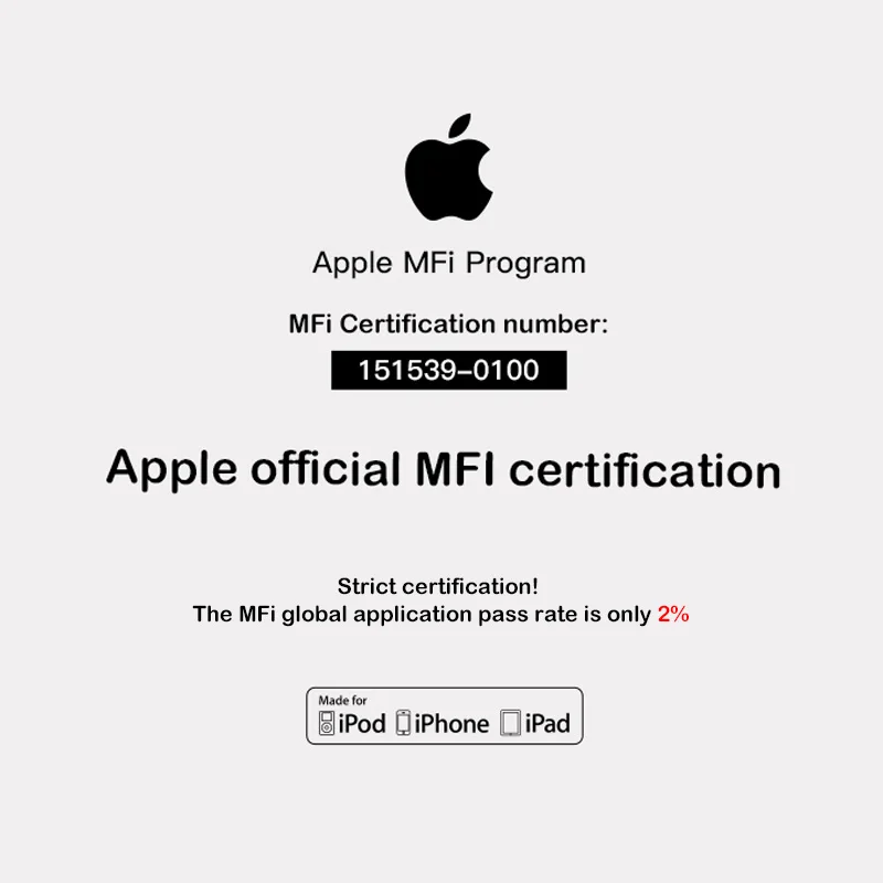 EAGET-Mini Pen Drive de Metal i66Pro MFi, con certificación oficial, USB 3,0, OTG, Apple tipo C, alta velocidad, 128GB, 256GB