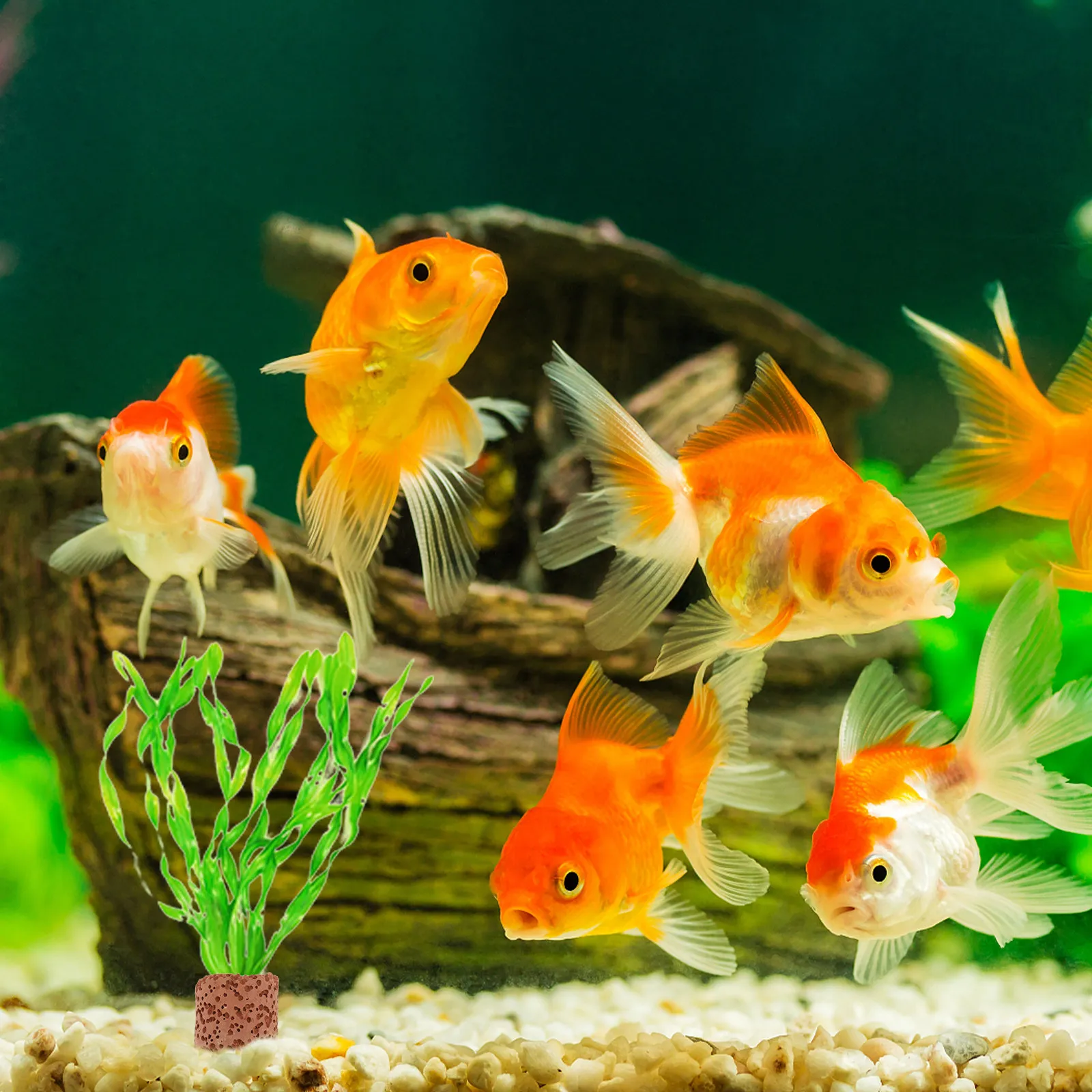 10Pcs Aquarium Plant Holding Ring Ceramic Water Plant Fixed Cup for Fish Tank Aquatic Plants Landscape Decoration Root Holder