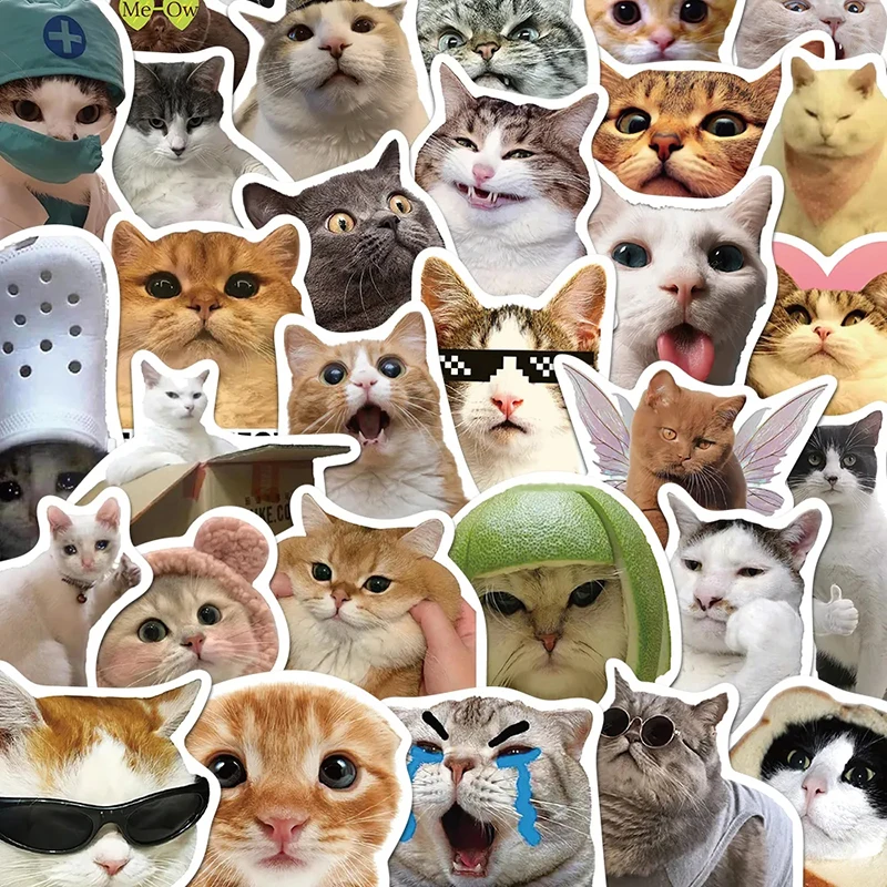 10/50/100PCS Funny Cat Pets Meme Stickers Decal DIY Scrapbook Suitcase Skateboard Laptops Graffiti Cute Animal Stickers Toy Gift