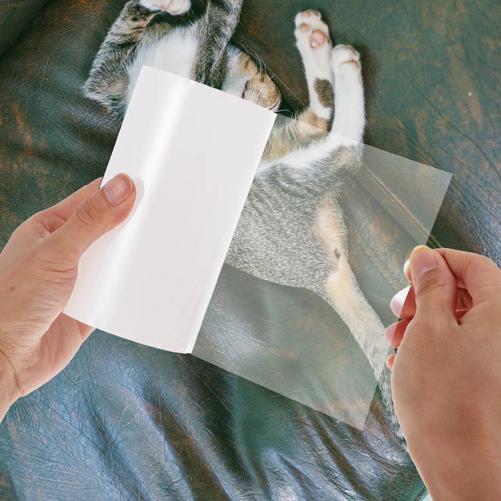 

Anti Cat Scratch Sticker Training Tape Sofa Anti scratch Pvc Protector Pet Supply Furniture Tool Durable Clear Effective